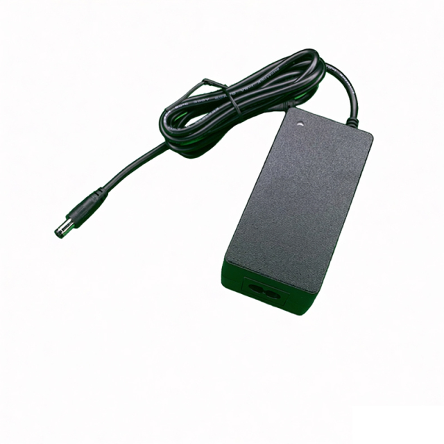 63W 12.6V 5A Lithium Battery Charger with DC Plug | QINXPOWER®