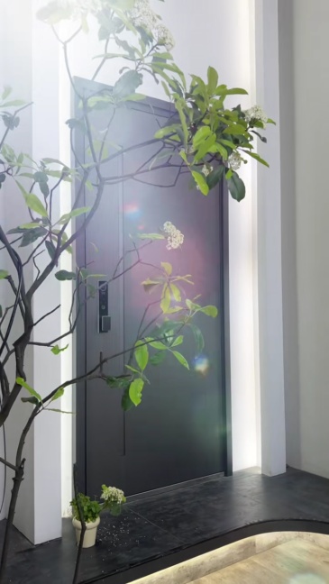 Heavy-duty anti-pickout visible intelligent security door