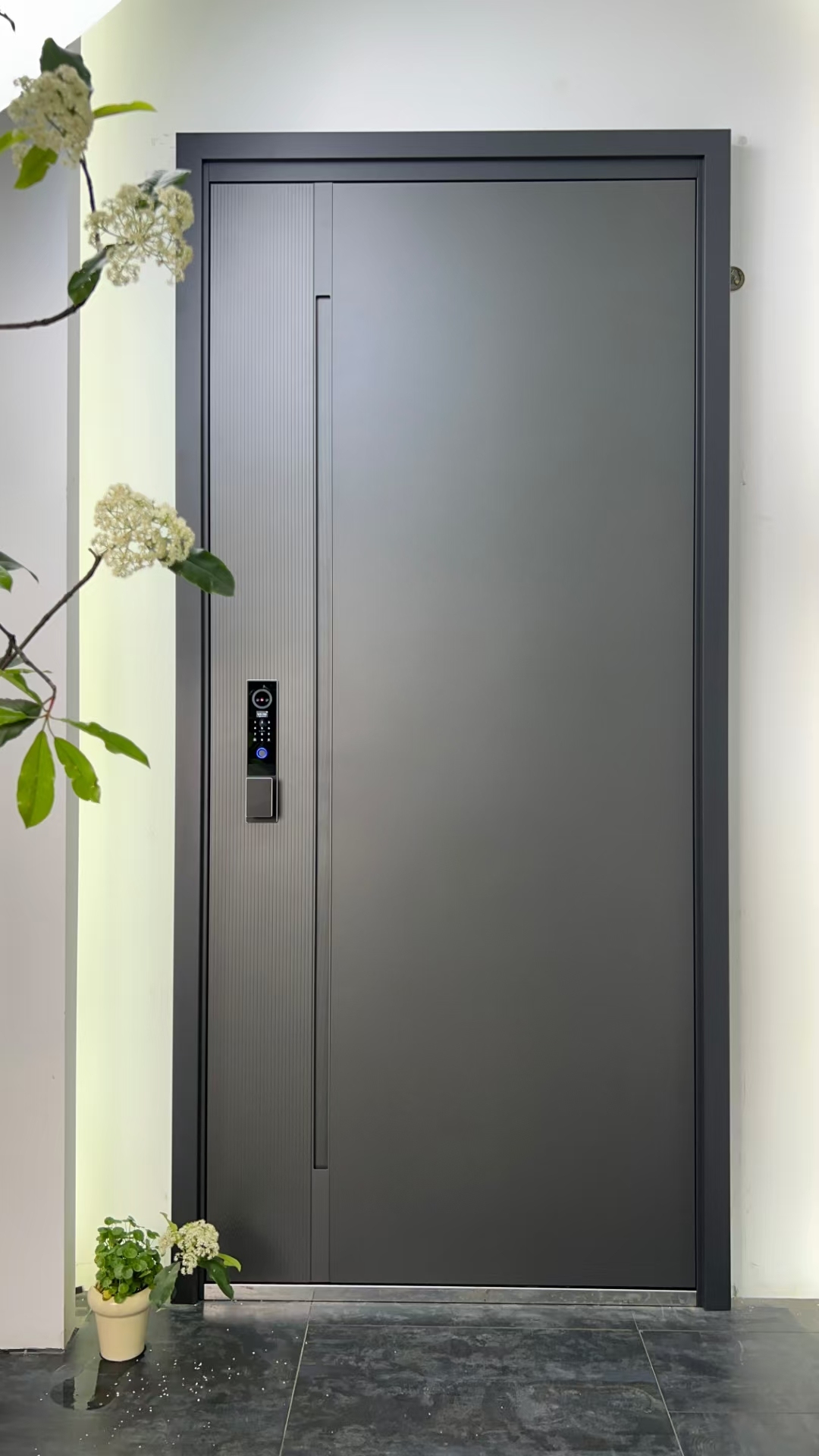 Heavy-duty anti-pickout visible intelligent security door