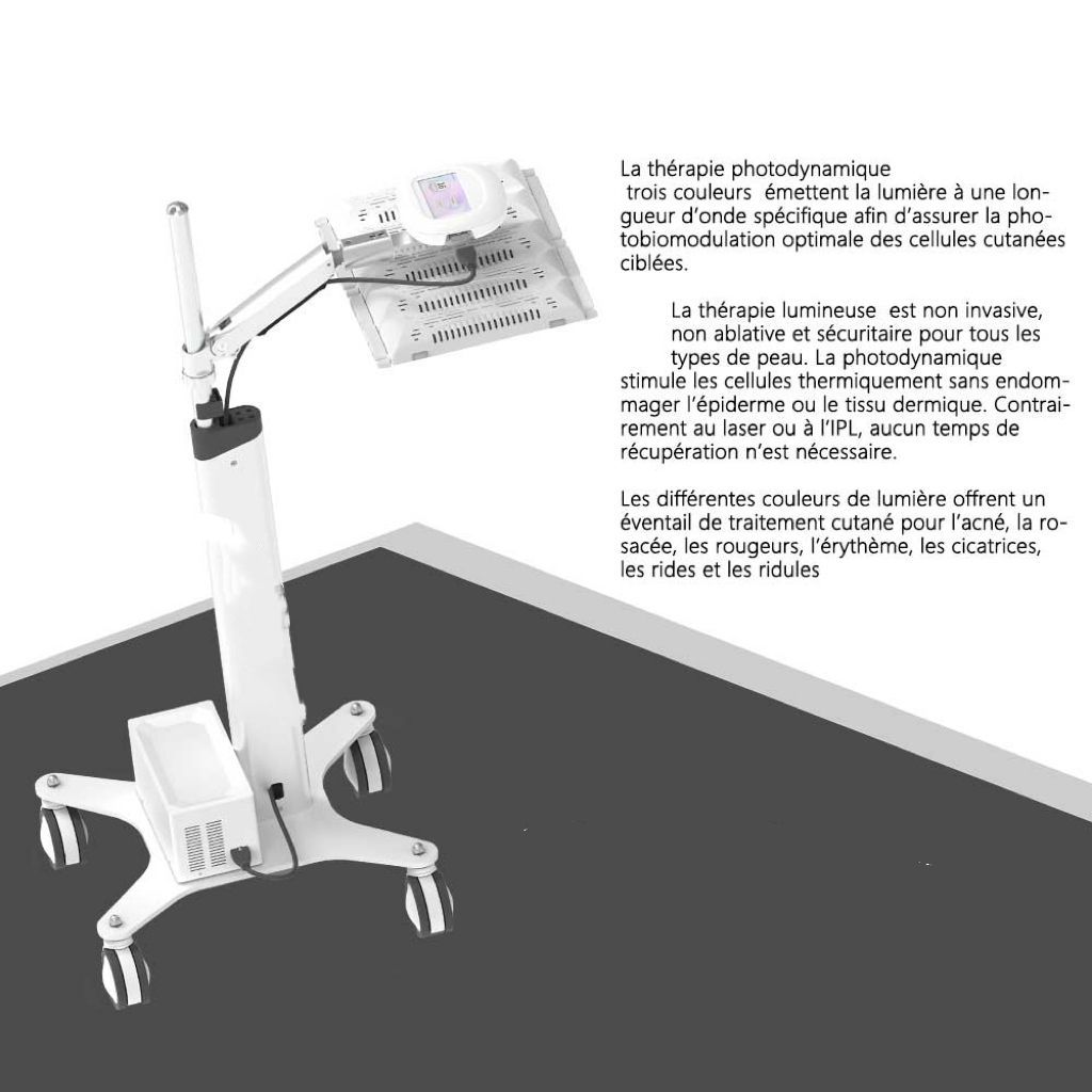 Appareil de photothérapie LED PDT professionnel pour soins du visage