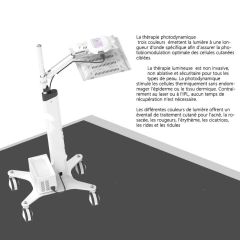 Appareil de photothérapie LED PDT professionnel pour soins du visage