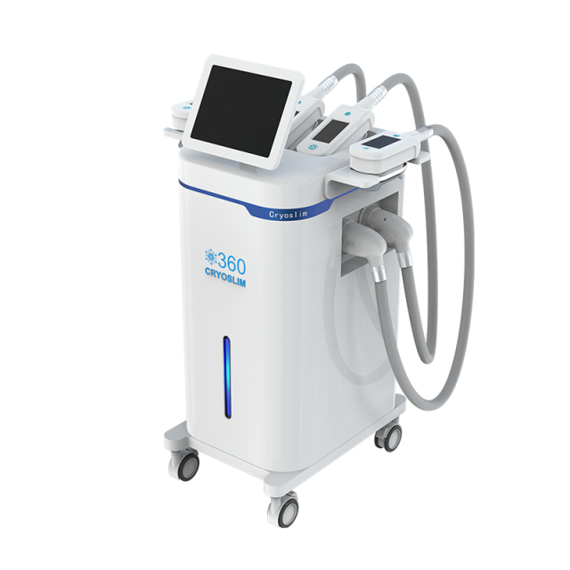 Machine de Cryolipolyse 360° | Système de Minceur Professionnel