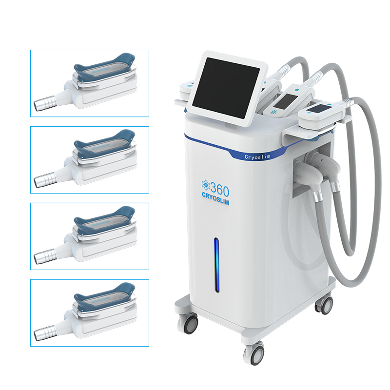 Machine de Cryolipolyse 360° | Système de Minceur Professionnel