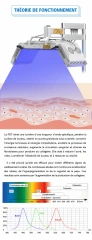 Infographie en français sur la théorie de fonctionnement de la PDT LED, montrant la pénétration de la lumière dans la peau et les longueurs d’onde bleu, vert et rouge