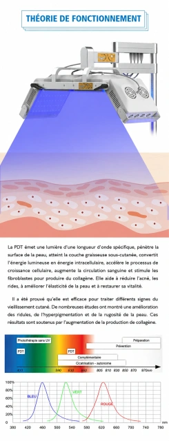 Infographie en français sur la théorie de fonctionnement de la PDT LED, montrant la pénétration de la lumière dans la peau et les longueurs d’onde bleu, vert et rouge