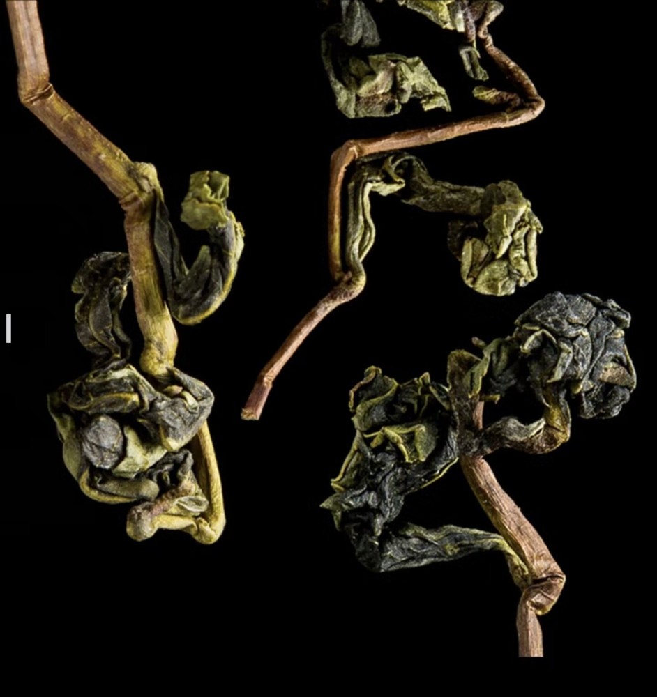 Anxi Oolong Tea