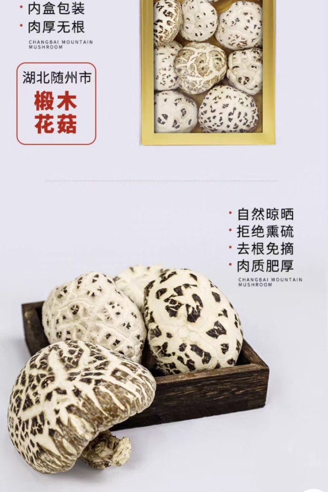 Changbai Mountain Mushroom Soup
