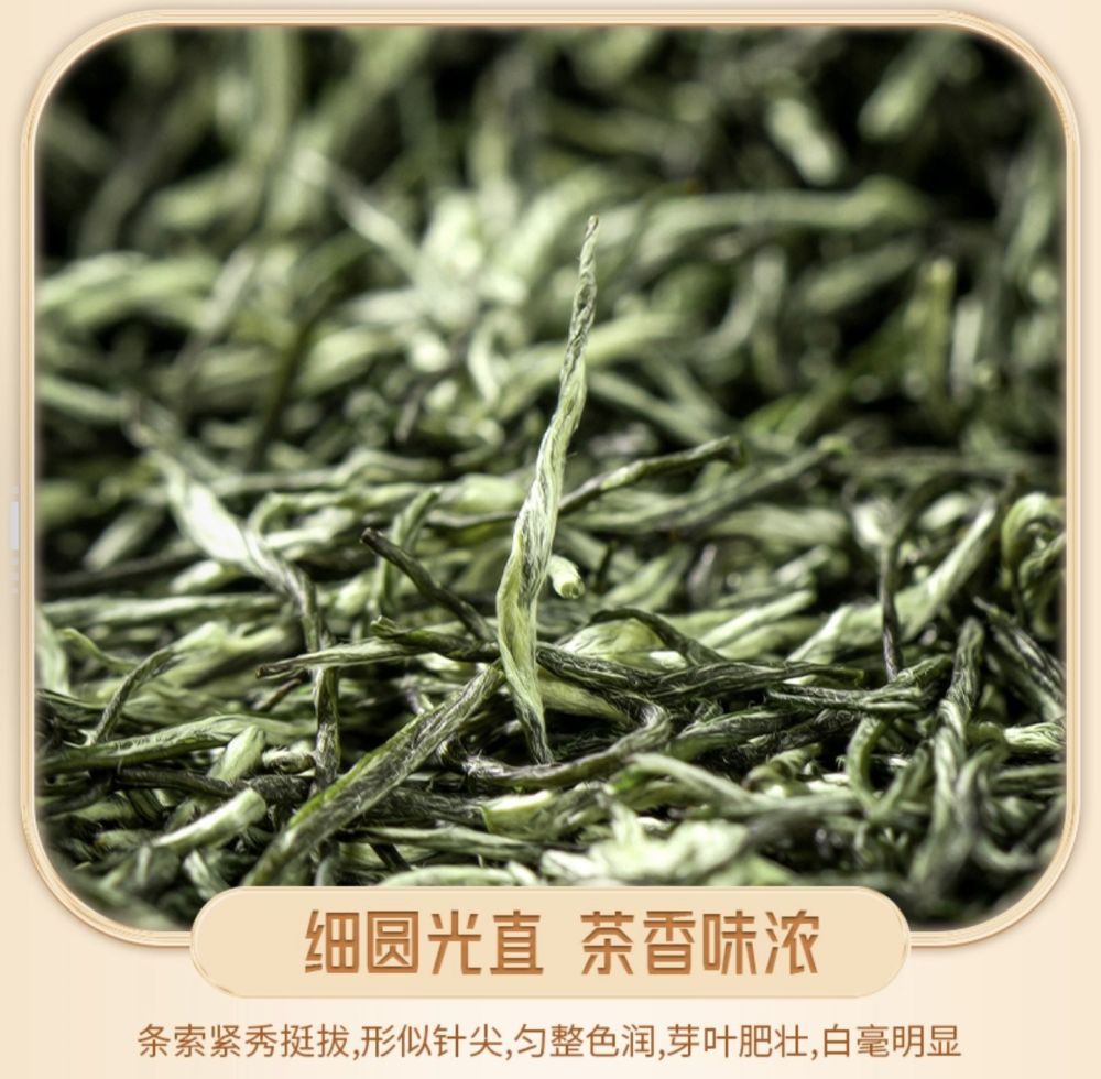 Mao Jian Green Tea