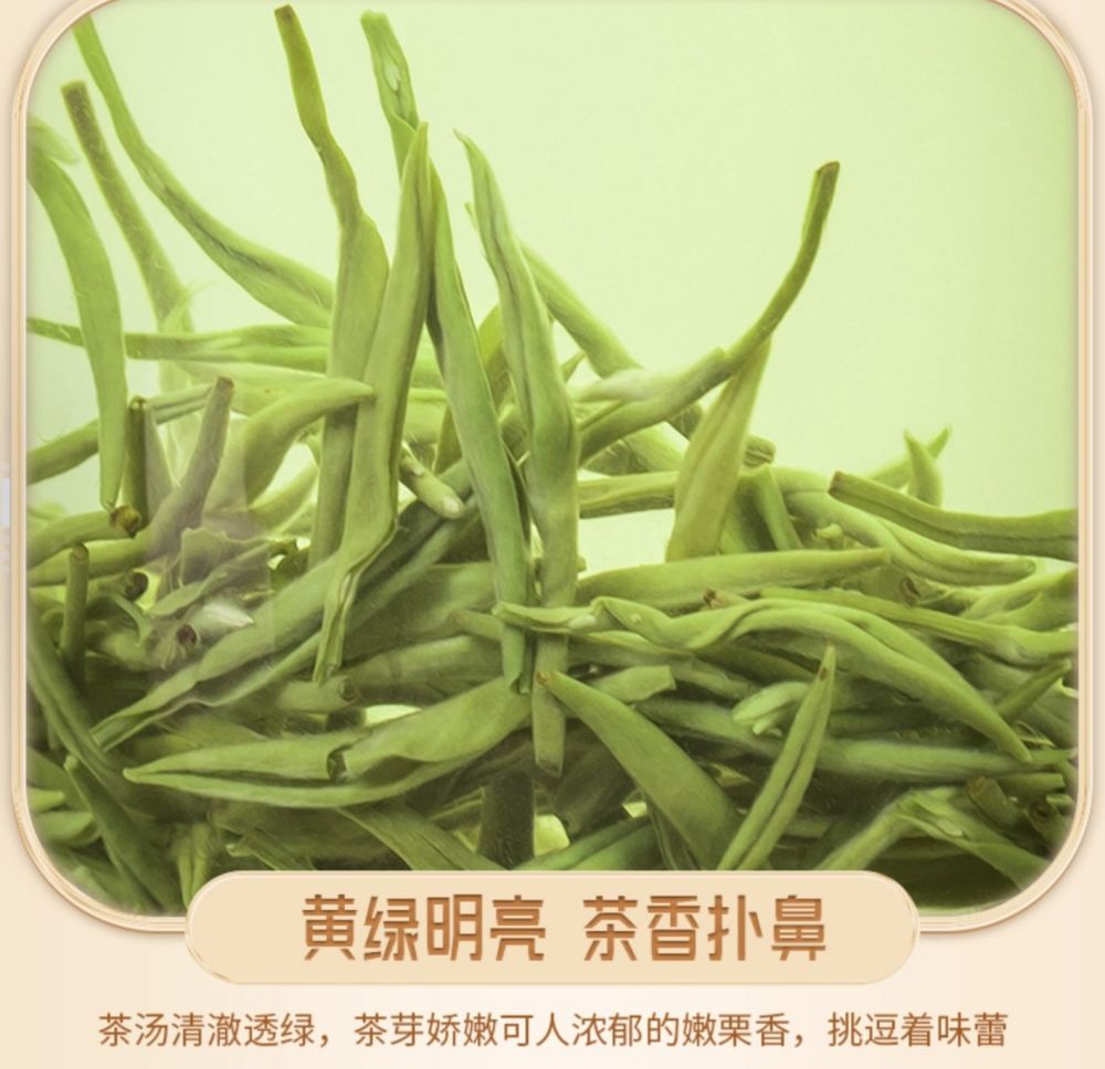 Mao Jian Green Tea