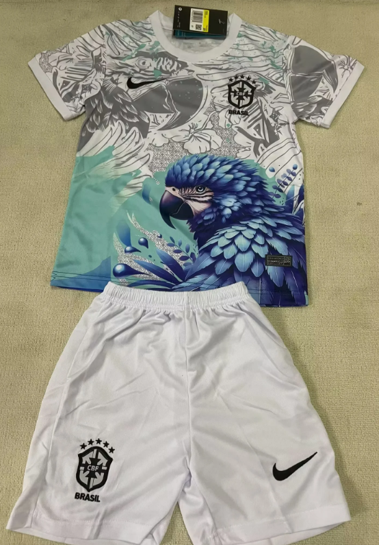2026 World Cup National Team Germany Argentina Italy Brazil Mexico England Japan Korea Colombia Nigeria Scotland Ireland jersey kids kit  10-20 days. It will arrive in your country
