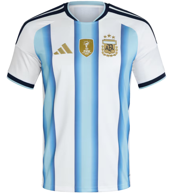 2026 World Cup National Team Argentina  jersey Home and away New adult 26 27 Argentina soccer jersey 10-20 days. It will arrive in your country