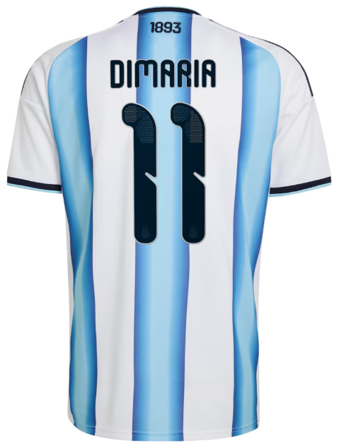 2026 World Cup National Team Argentina  jersey Home and away New adult 26 27 Argentina soccer jersey 10-20 days. It will arrive in your country