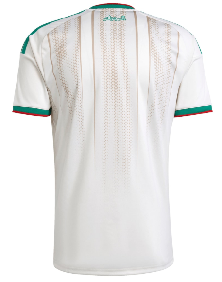 2026 World Cup National Team Algeria   jersey Home and away New adult 26 27 Algeria  soccer jersey 10-20 days. It will arrive in your country