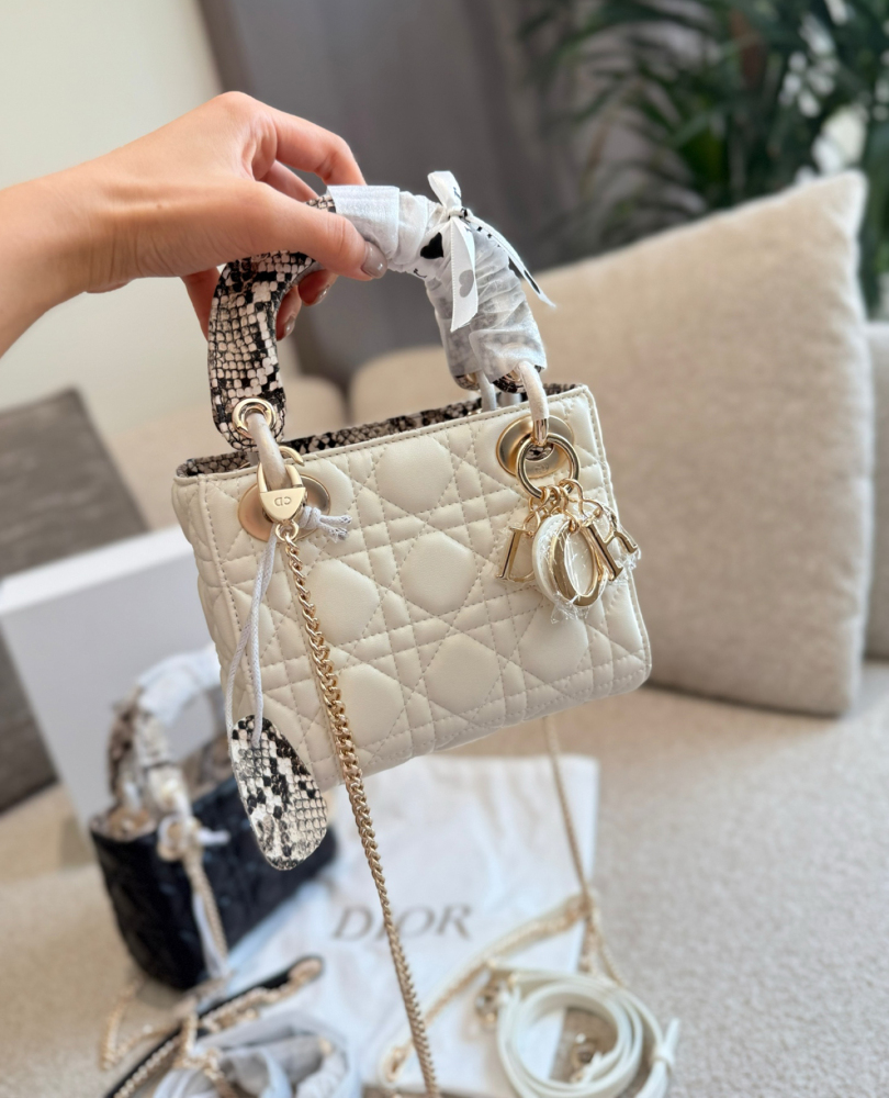 Dior Exquisite Limited Edition Python Handle Diarmuid Bag