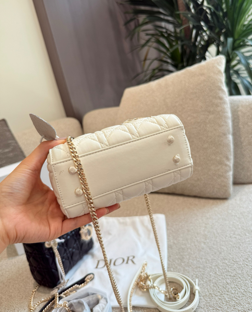 Dior Exquisite Limited Edition Python Handle Diarmuid Bag