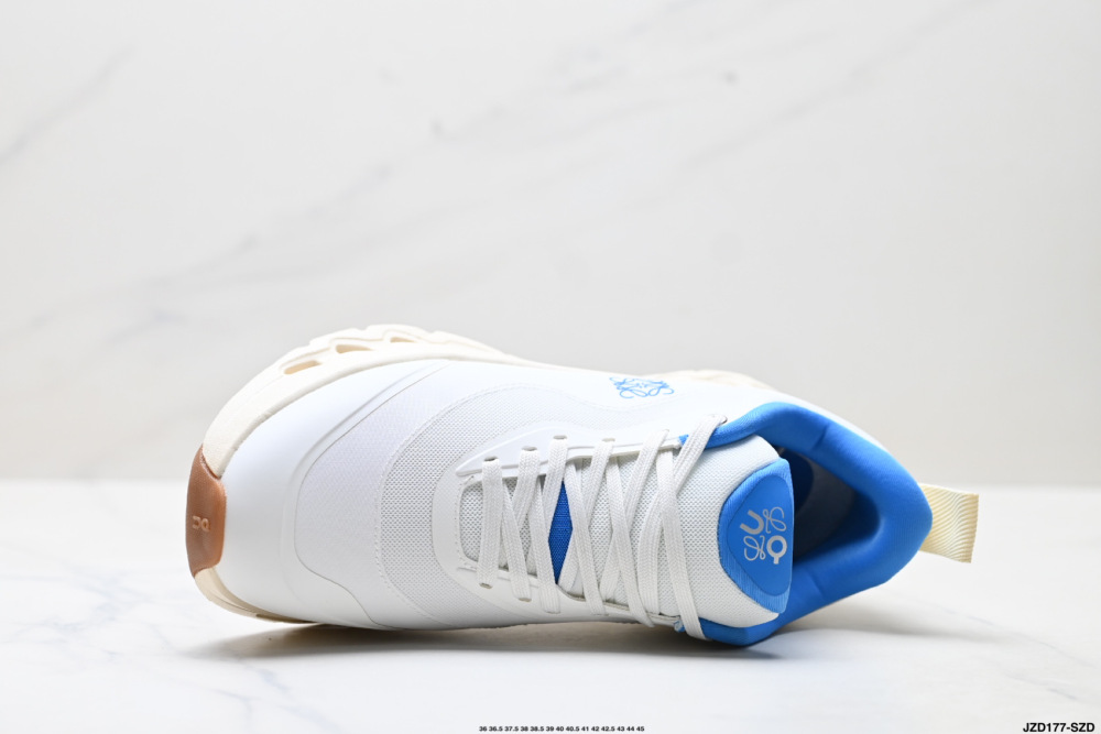 Loewe x On Cloudtilt 2.0