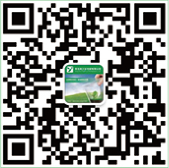 Spout pouch, Retort Pouch, Doypack, Stand-up Pouch - A Flexible Packaging Manufacturer | YINGZHICAI PACKAGING