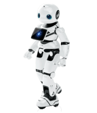 Prototyp eines Temperatur-Screening-Roboters