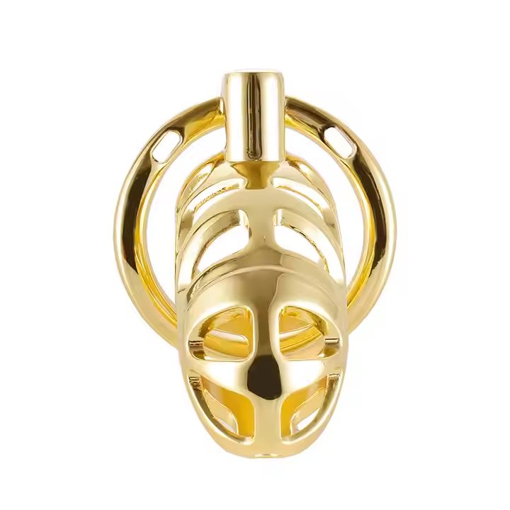 Men's Golden Aluminium Alloy SM Type Chastity Cage Sex Toys Bondage Gear for Male Confinement