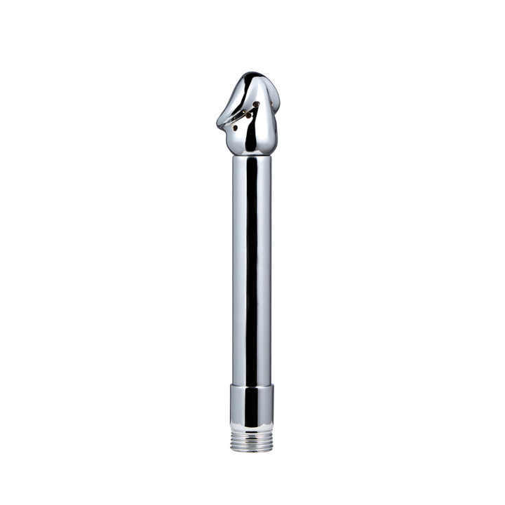 Adult Sexual Toys Stainless Steel Dildo Shape Anal Cleaner Shower Enema Juguetes Sexuales SM Type