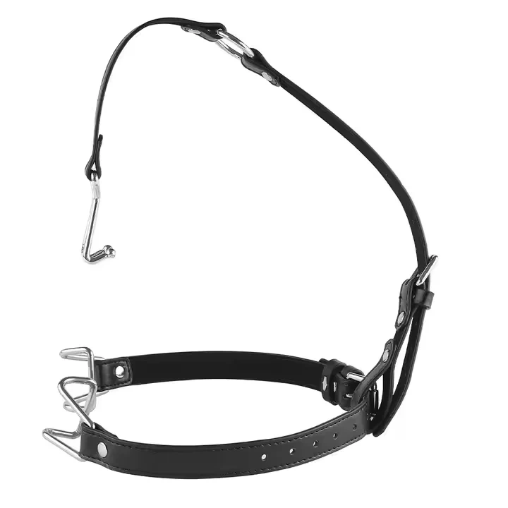 Bondage Gear Stainless Steel BDSM Sex Toys Nose Hook and Mouth Clamps