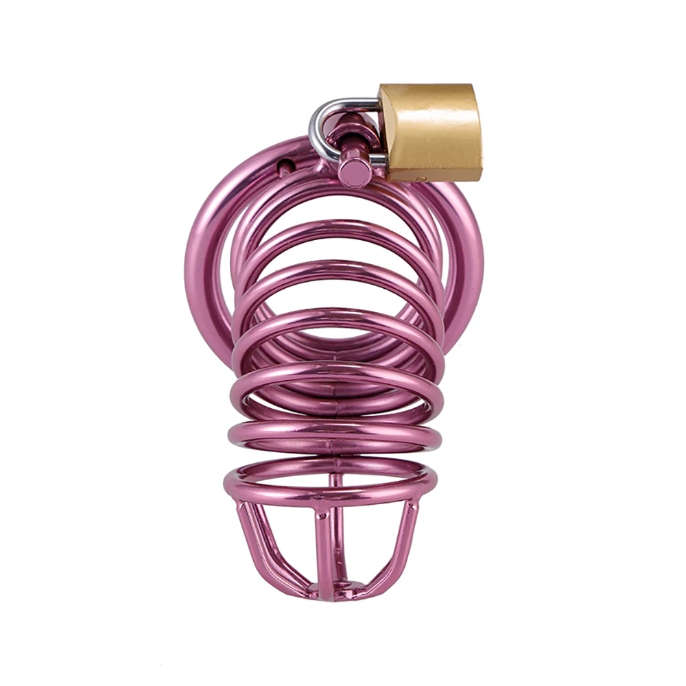 Stainless Steel Male Chastity Device Penis Lock Chastity Cage Sex Toy BDSM Gear for Men's Bondage Play