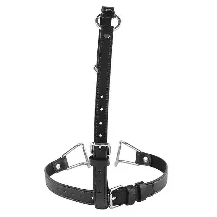 Bondage Gear Stainless Steel BDSM Sex Toys Nose Hook and Mouth Clamps