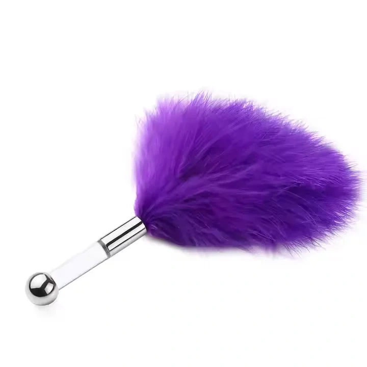 Themed Toys This Flirting Feather Stick Stainless Steel Sex Toys for Women