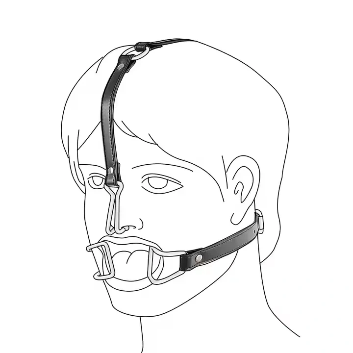 Bondage Gear Stainless Steel BDSM Sex Toys Nose Hook and Mouth Clamps