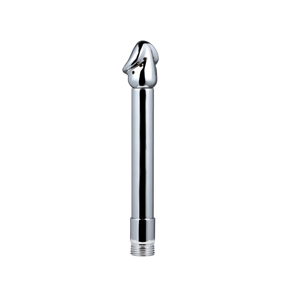 Adult Sex Toys-Stainless Steel Dildo Shape Anal Cleaner Shower Enema Bondage Gear with Juguetes Sexuales