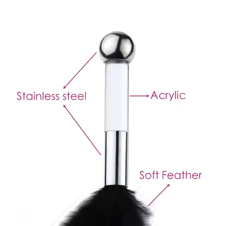 Themed Toys This Flirting Feather Stick Stainless Steel Sex Toys for Women