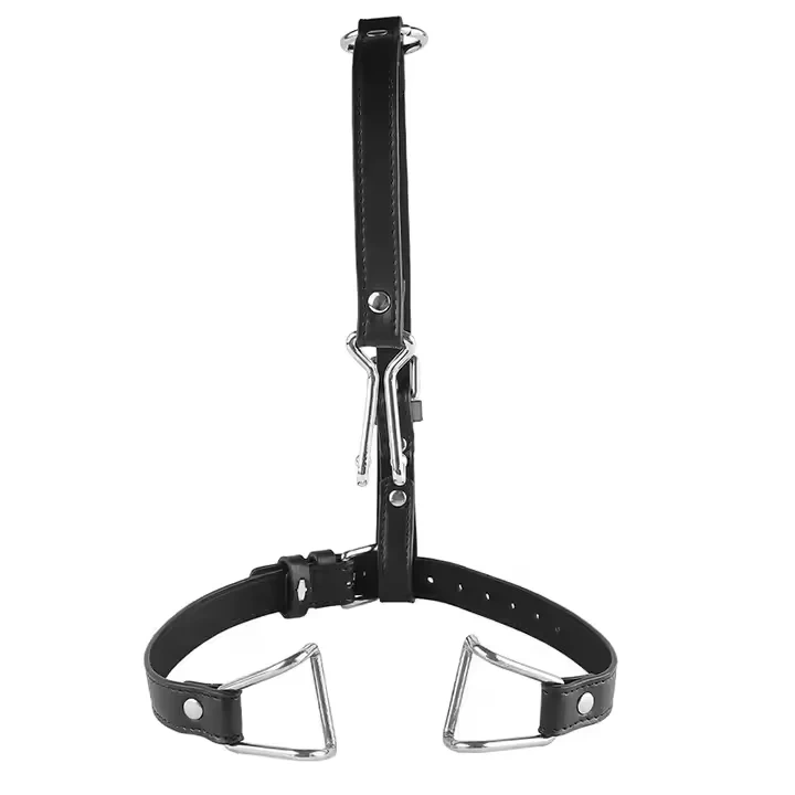 Bondage Gear Stainless Steel BDSM Sex Toys Nose Hook and Mouth Clamps