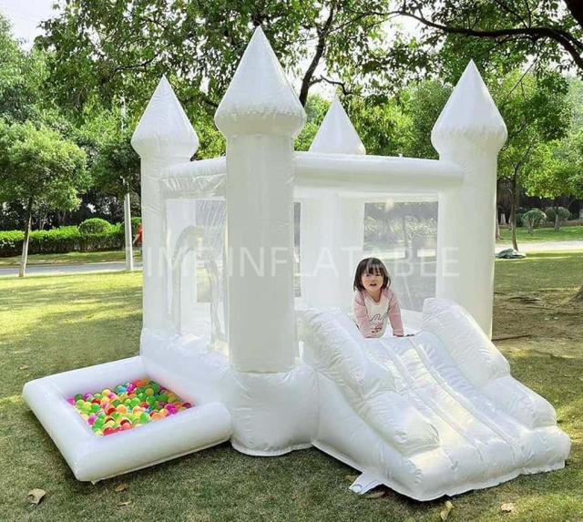 Inflatable Bouncer