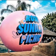 Custom Inflatable Logo Ball with LED/RGB Lighting