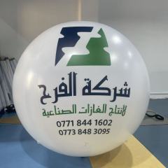 Custom Inflatable Logo Ball with LED/RGB Lighting