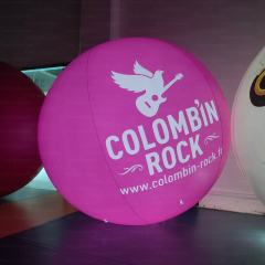Custom Inflatable Logo Ball with LED/RGB Lighting
