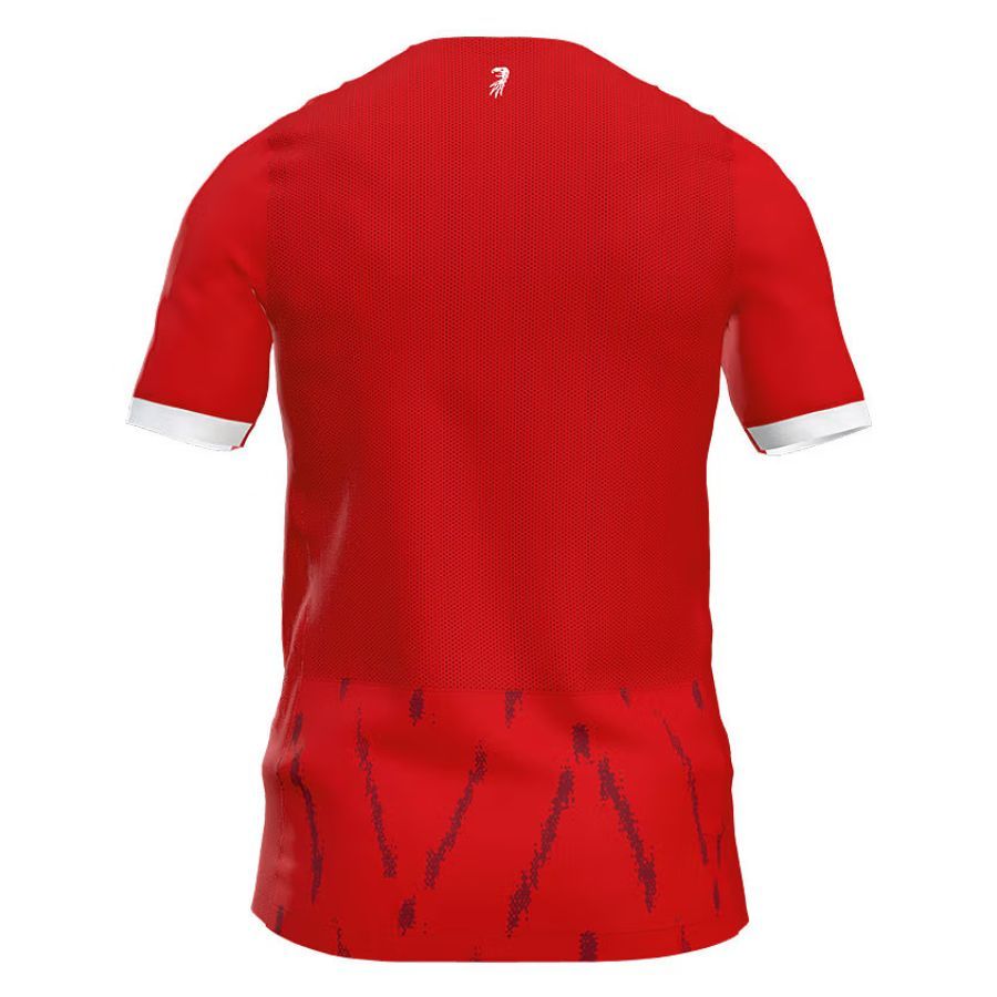 Freiburg Home Jersey 2024 2025