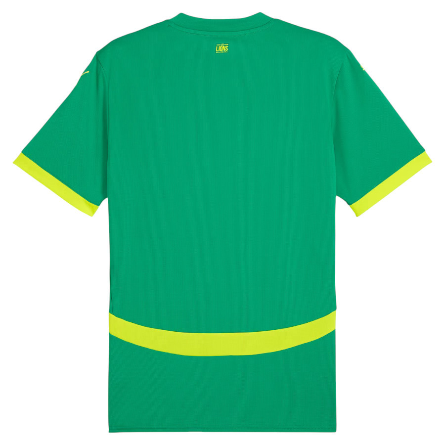 Senegal Away Match Jersey 2024 2025