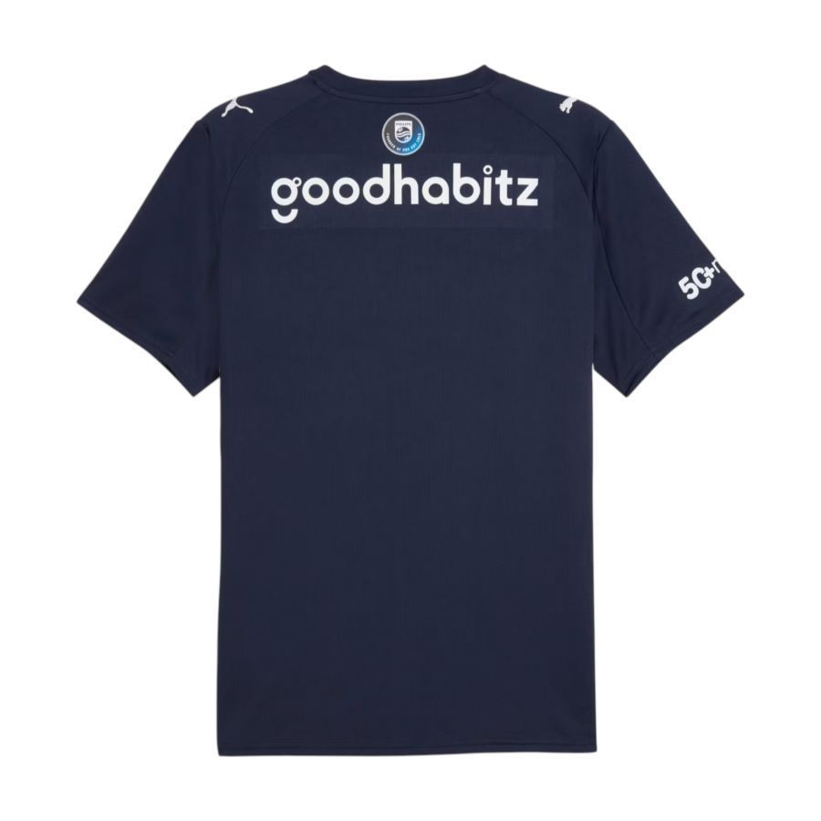 PSV Eindhoven Away Jersey 2025 2026