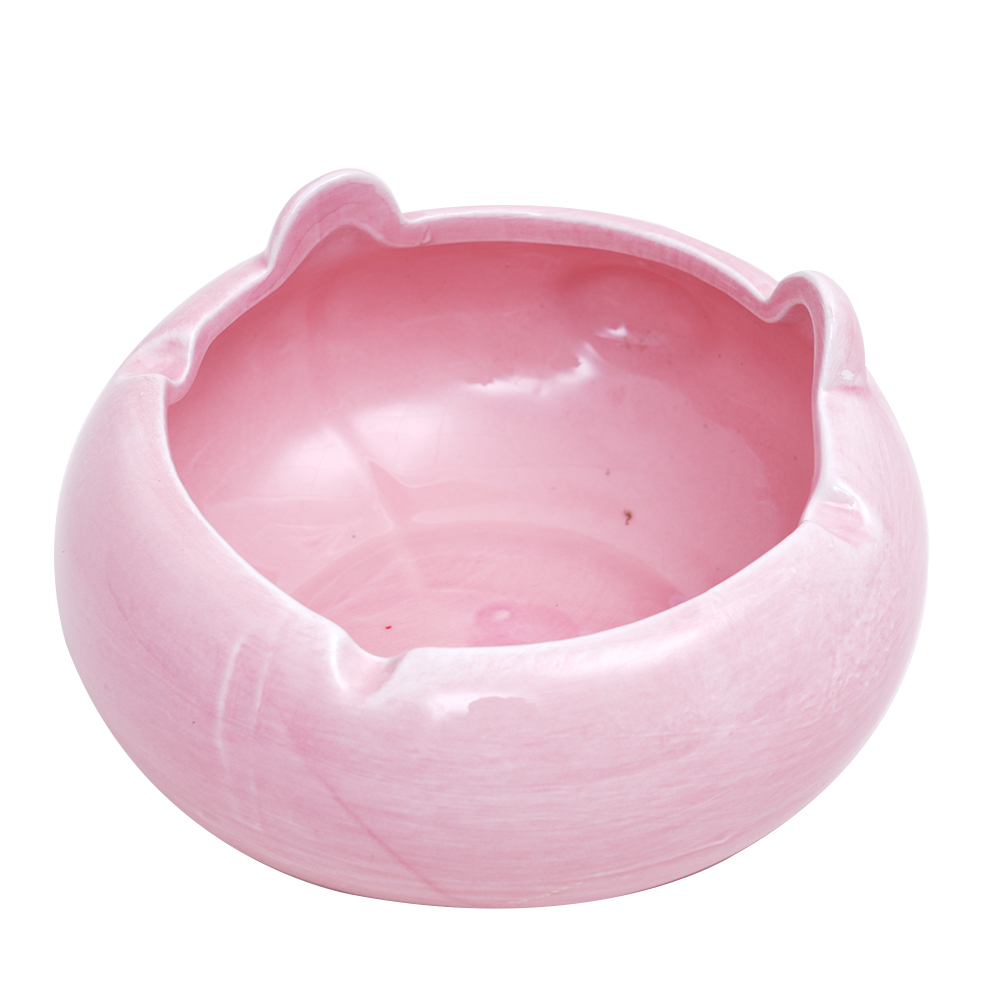Pig Ceramic Ashtray