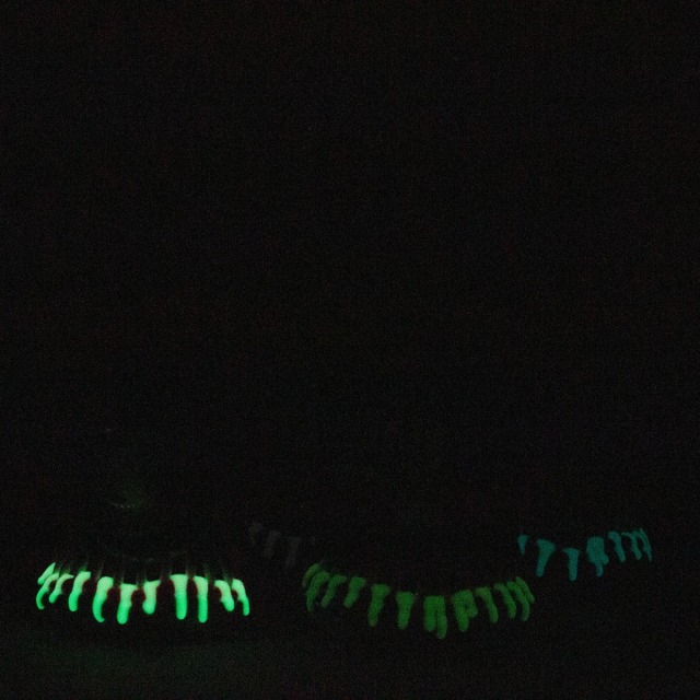 3D Tentacle Creature Glass Pipe with Glow-in-The-Dark Teeth and Bowl
