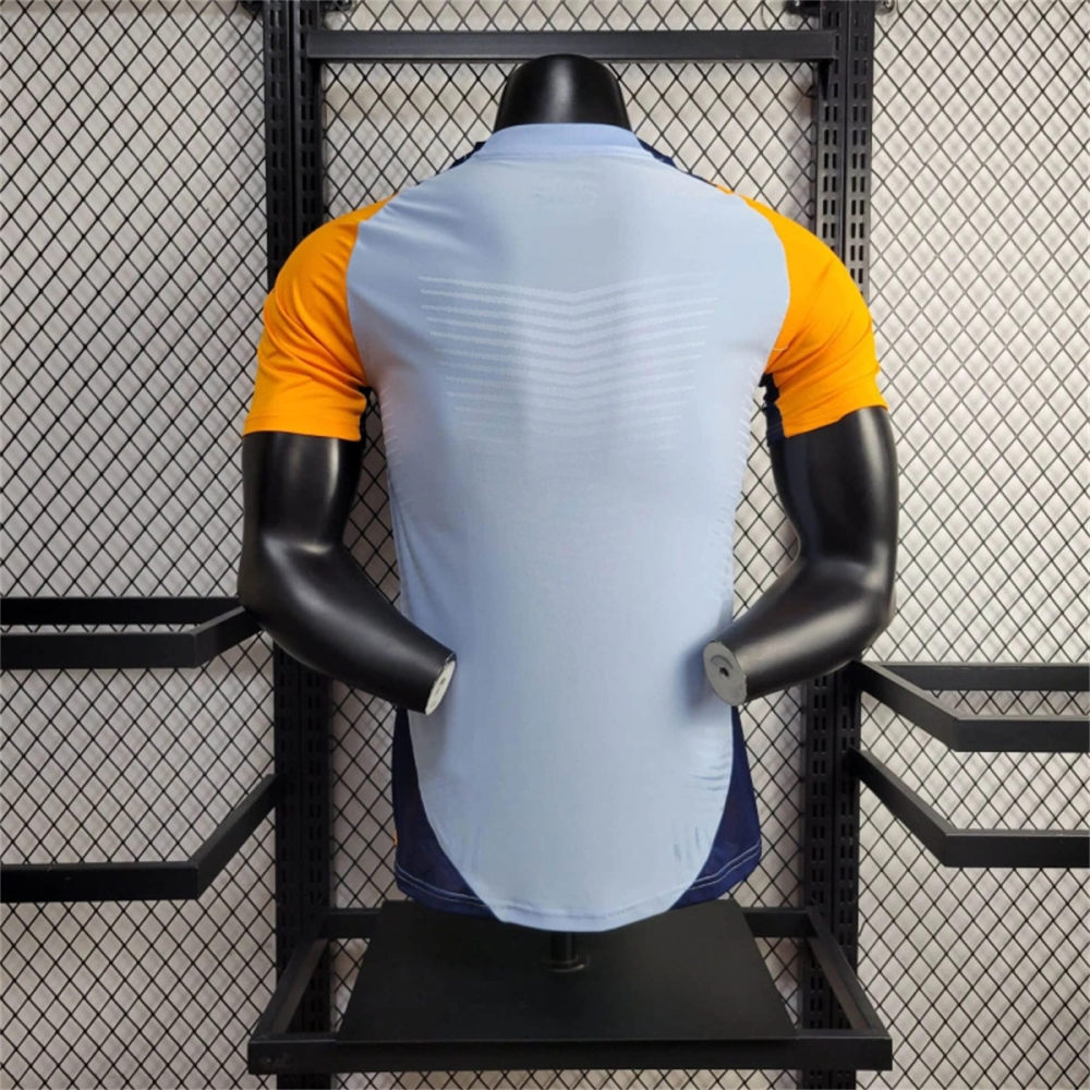 24/25 Real Madrid Training clothes Football teamshirt Special edition Jersey Player Version
