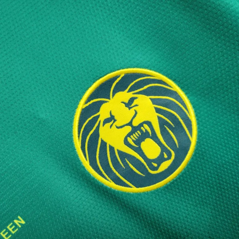 25/26 Cameroon Home Jersey Fan Version