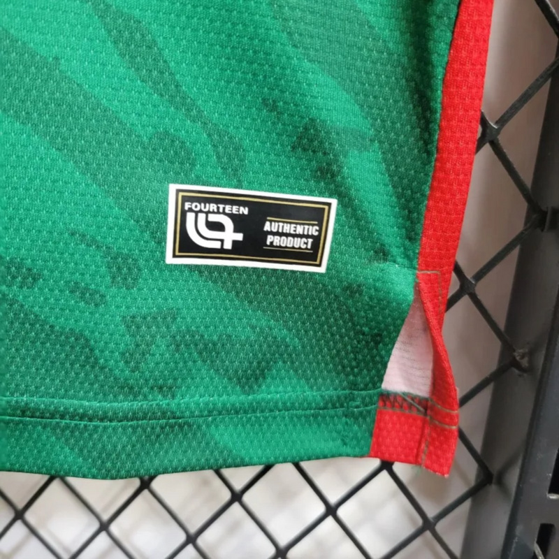 25/26 Cameroon Home Jersey Fan Version