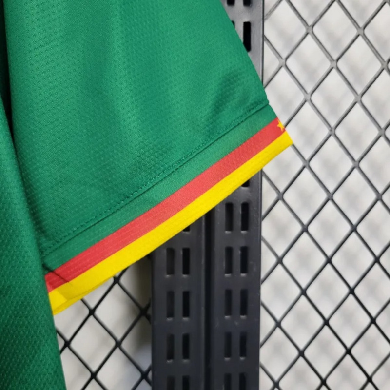 25/26 Cameroon Home Jersey Fan Version