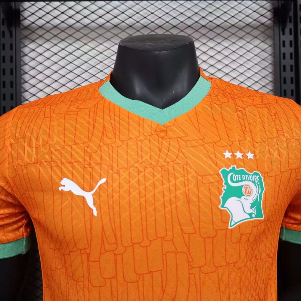 Ivory Coast Authentic Soccer Jersey Home Shirt 2024-25