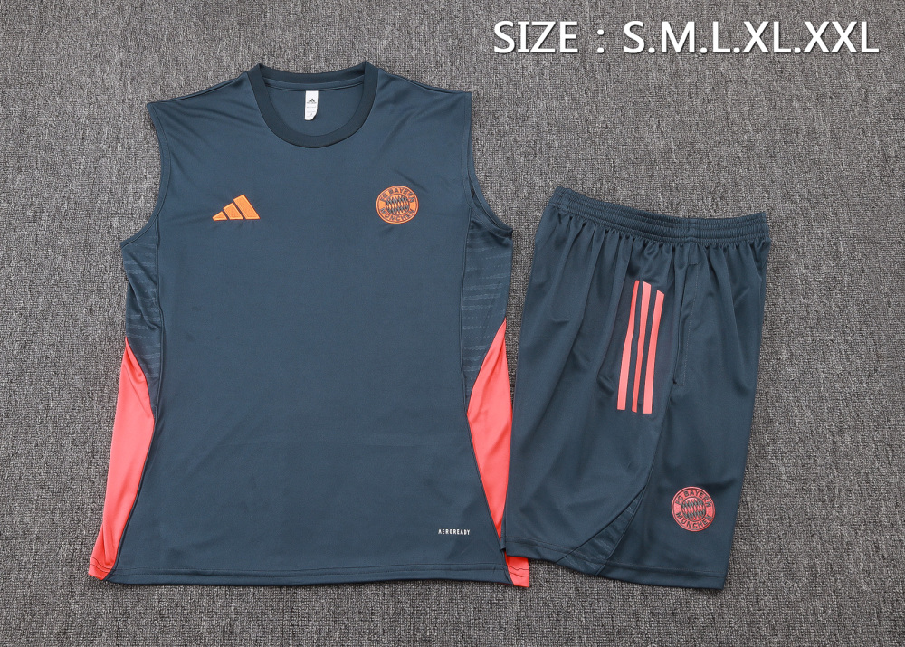 Bayern Munich Sleeveless Training Kit Gray 2025/26