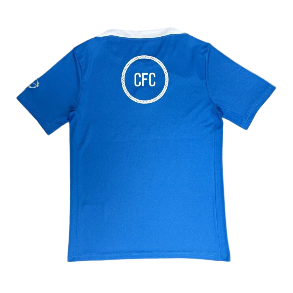 Chelsea Football Jersey Training Custom Shirt 2025/26
