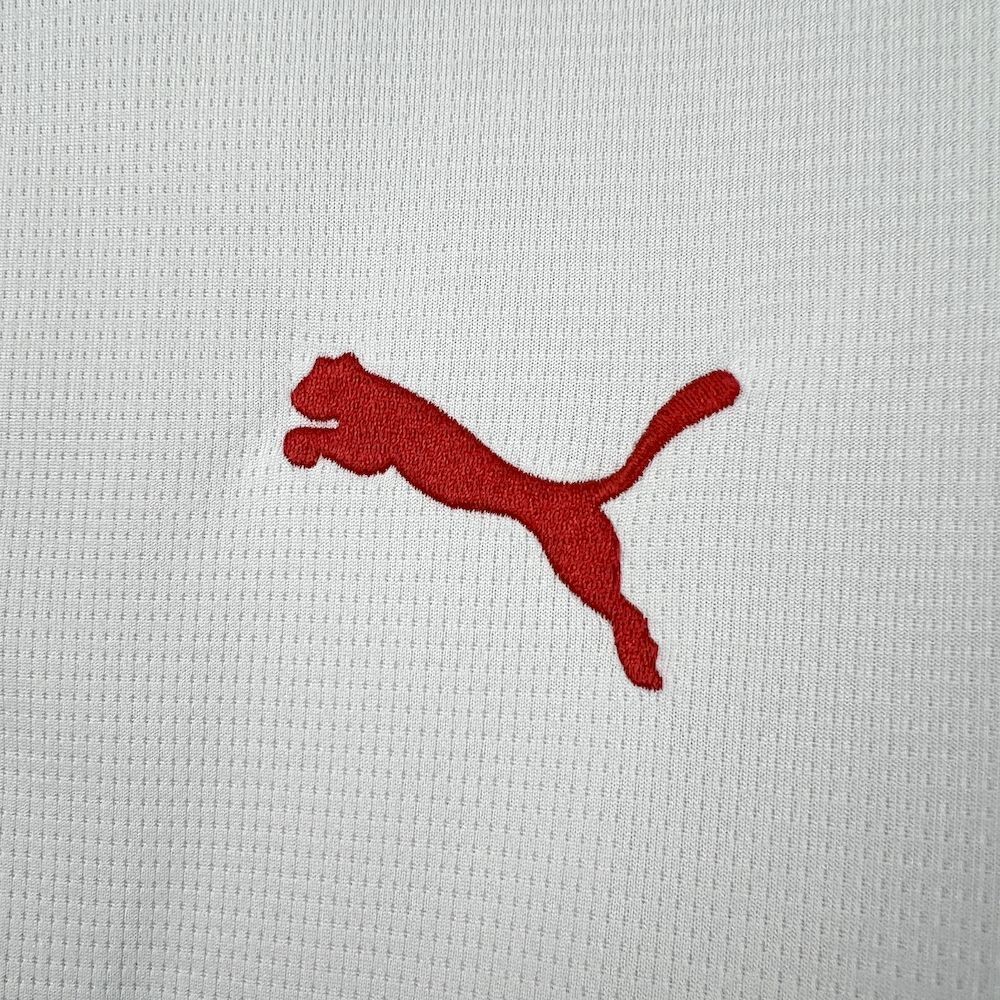 Portugal Soccer Jersey Away Commemorative Custom Shirt World Cup 2026