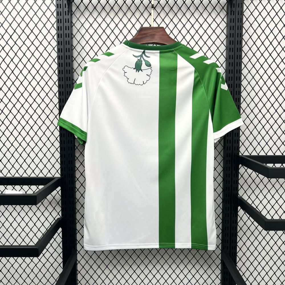 Real Betis Pre-match Custom Football Jersey 2025/26